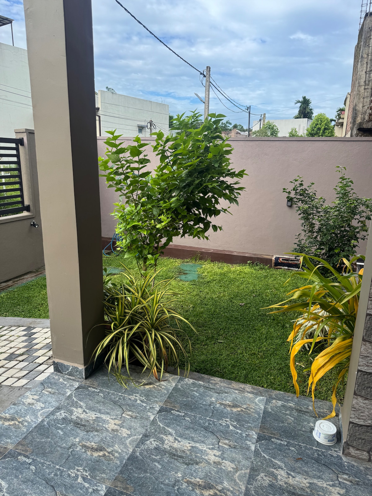 Garden & Outdoor